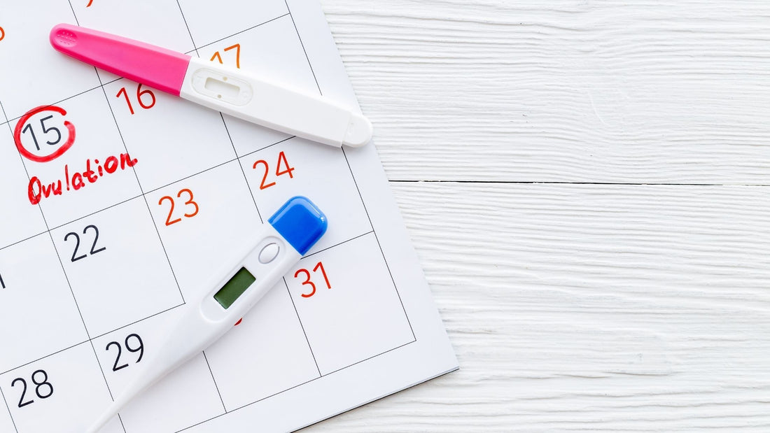 Daysy fertility tracker device showing colour-coded fertility status indicators for natural cycle monitoring