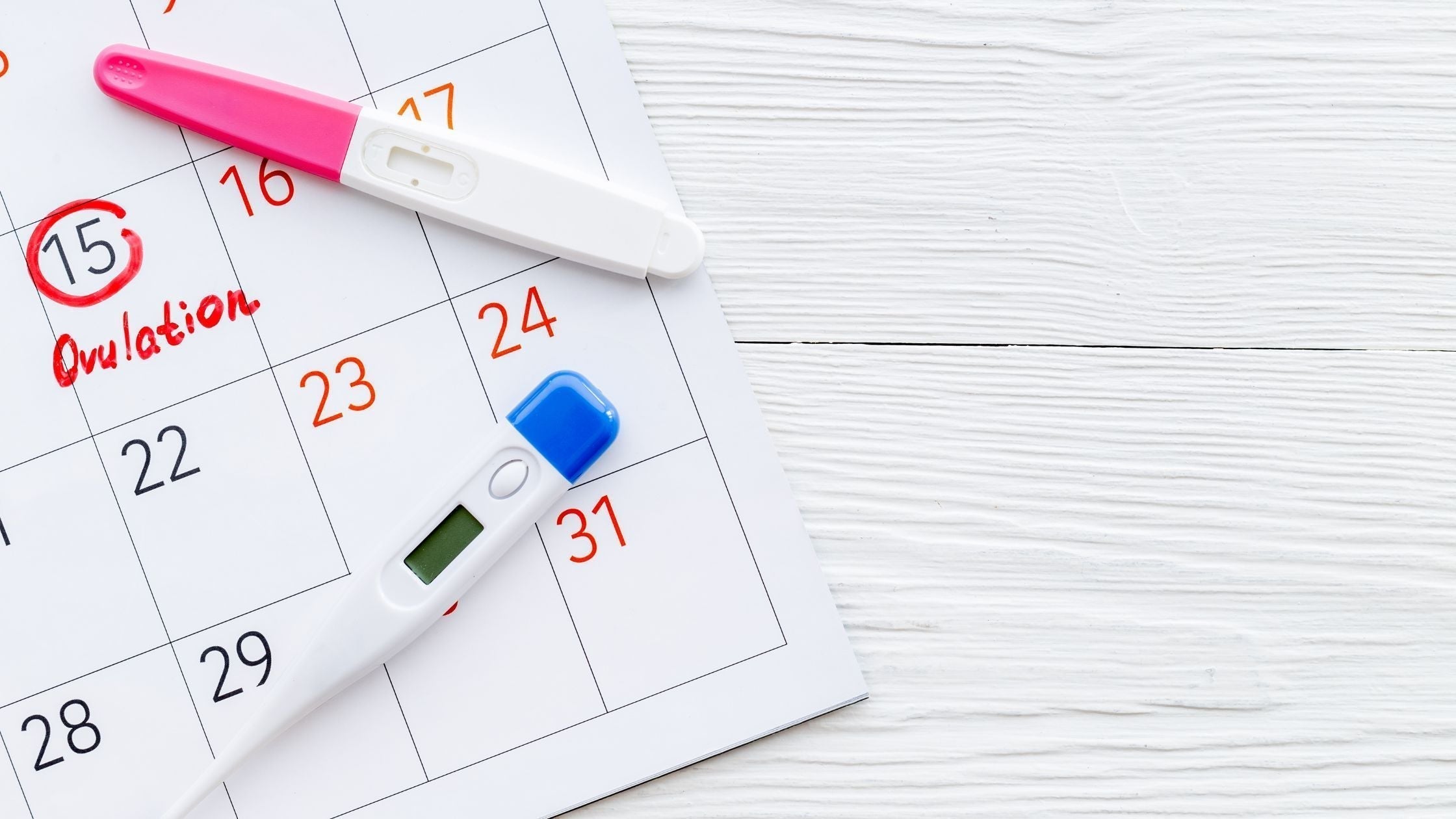 Daysy fertility tracker device showing colour-coded fertility status indicators for natural cycle monitoring
