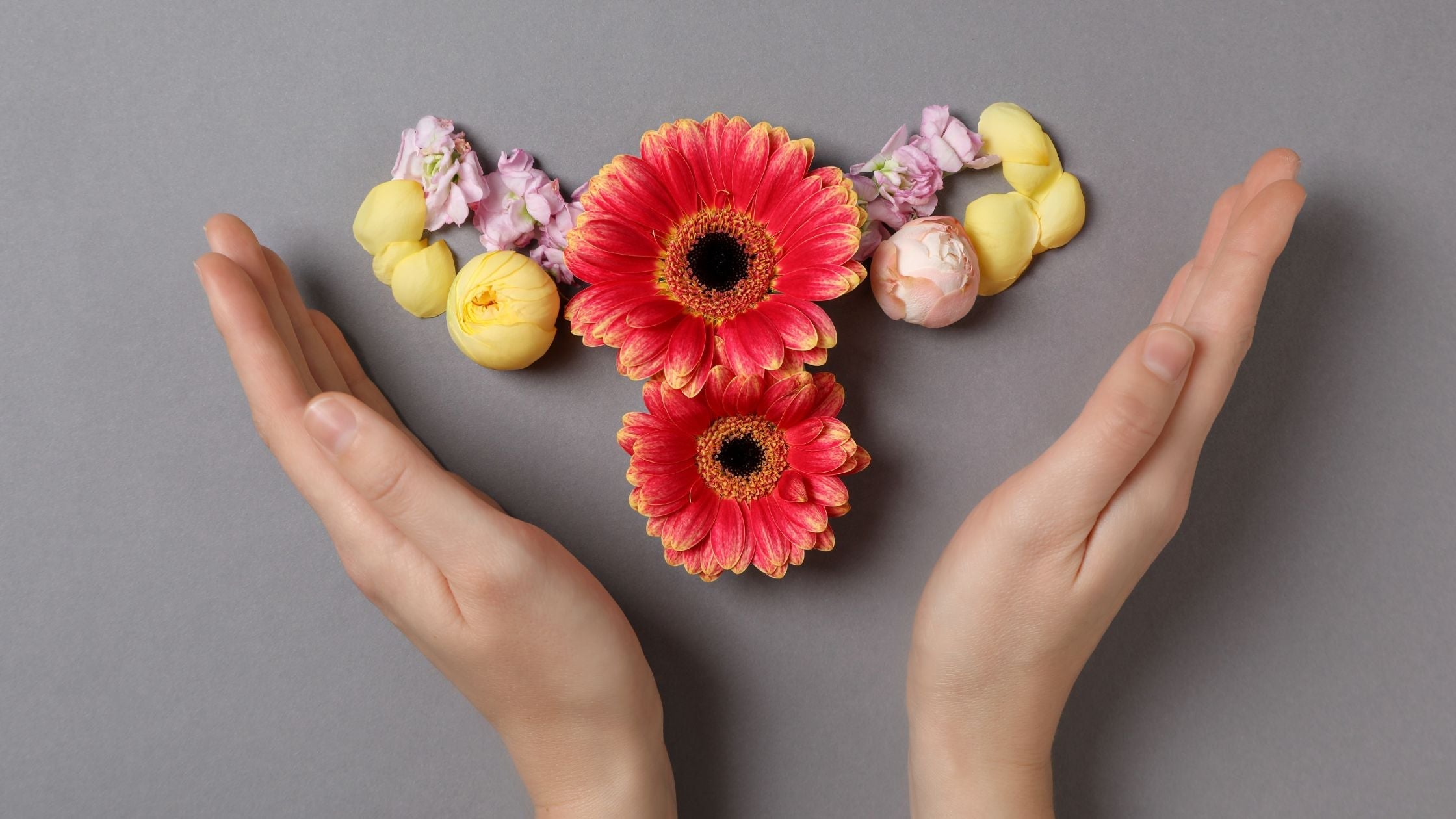 The Science Behind Ovulation Trackers: What You Need to Know