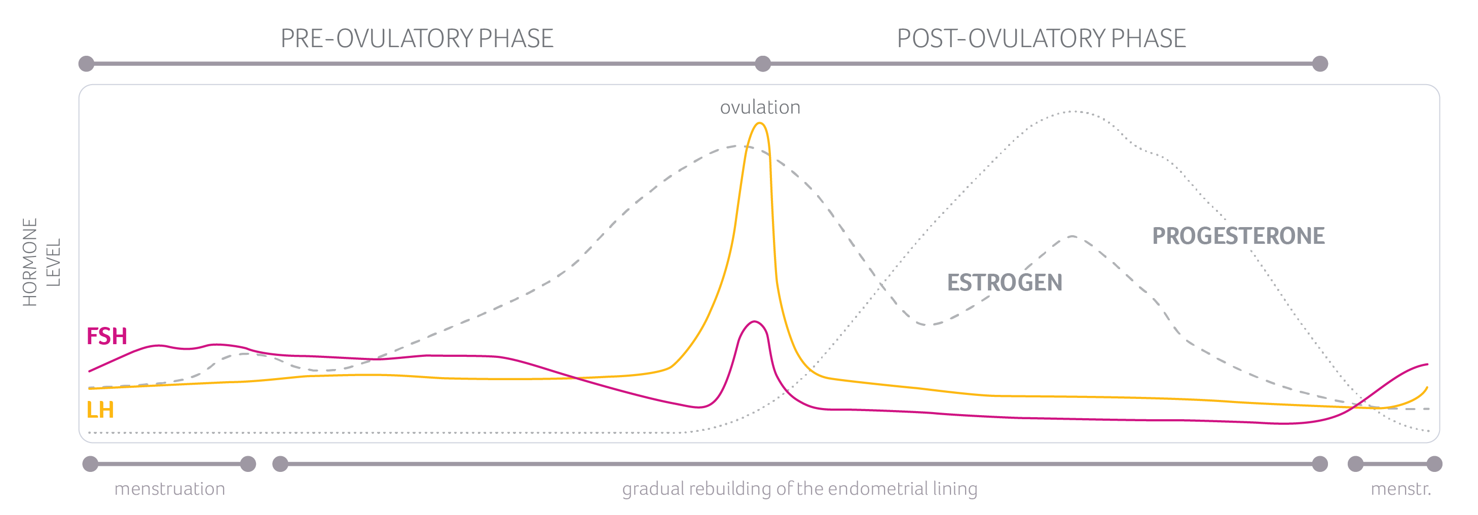 Graph showing hormone levels including oestrogen and progesterone across the menstrual cycle phases