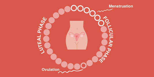 Understanding the Menstrual Cycle